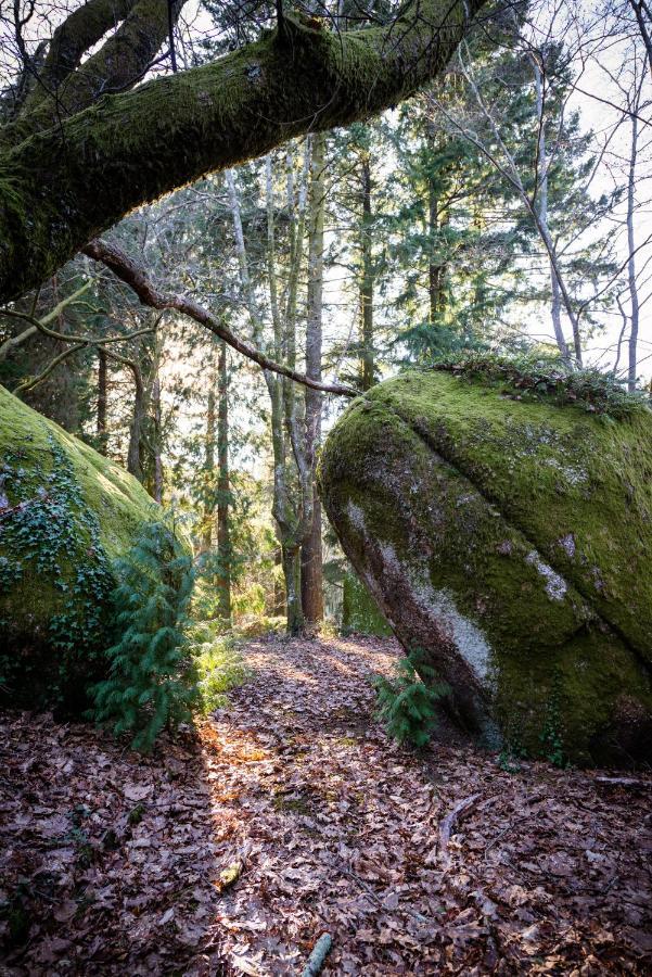 The Grove Houses Hotell Guimarães Eksteriør bilde