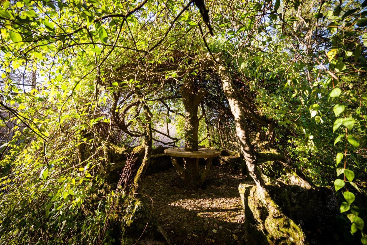 The Grove Houses Guimarães Eksteriør bilde